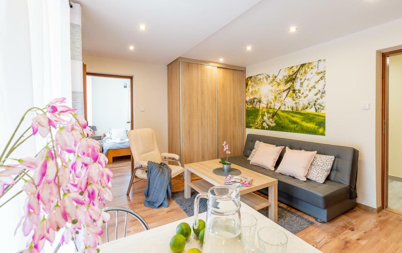 Apartament I Pokoje Goscinne U Lusi فيسلا المظهر الخارجي الصورة